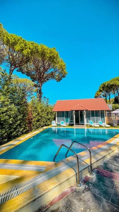 Cover Picture 2 Of Pine House