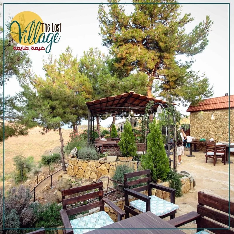Cover Picture 2 Of The lost village