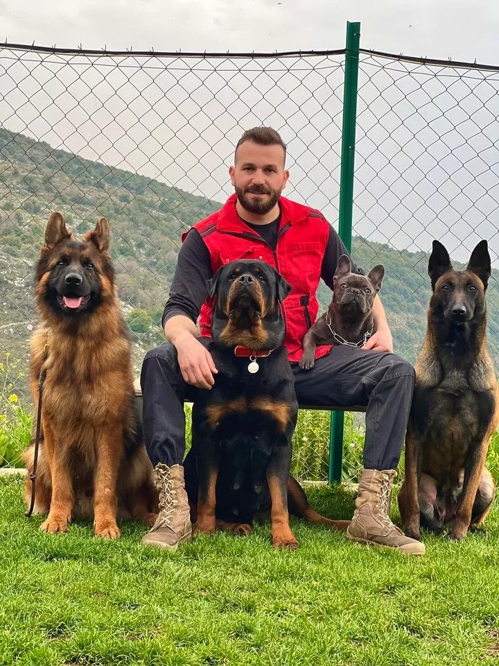 Cover Picture 2 Of Bark Yard Dog Training Academy