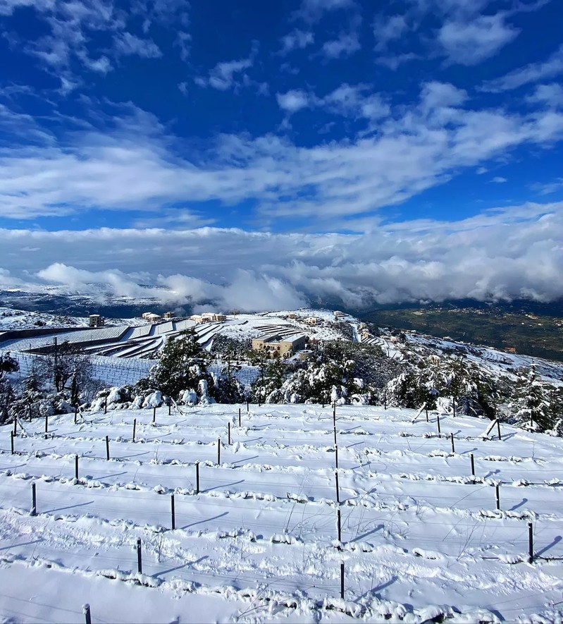 Cover Picture 1 Of Cabane Florentine