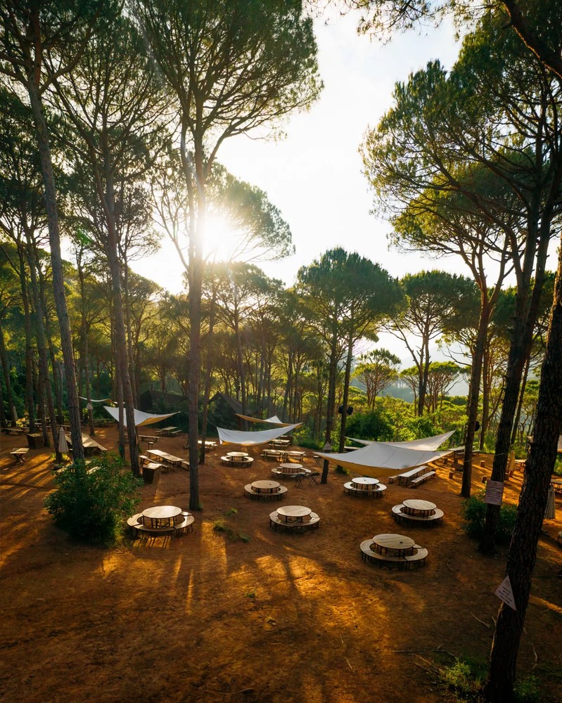 Cover Picture 1 Of Arsoun Village Park