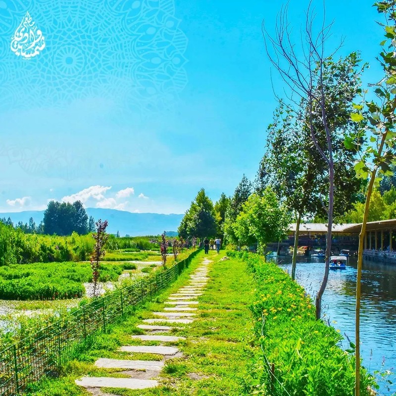 Cover Picture 1 Of Wadi Chamsine