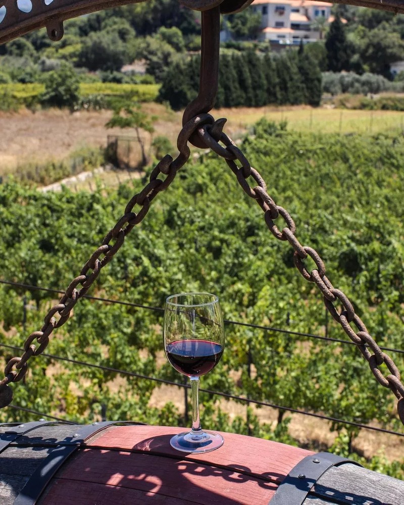 Cover Picture 2 Of Atibaia Winery