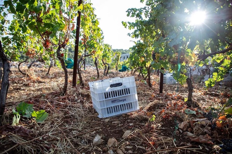 Cover Picture 2 Of Sept Winery