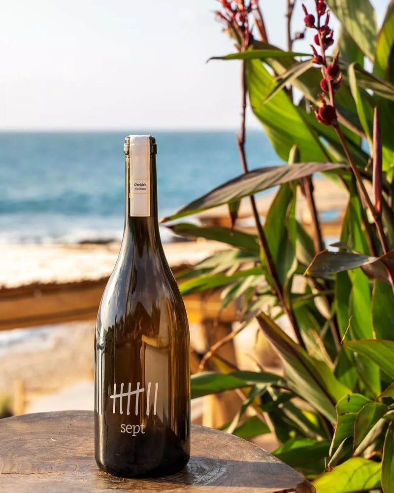 Cover Picture 1 Of Sept Winery