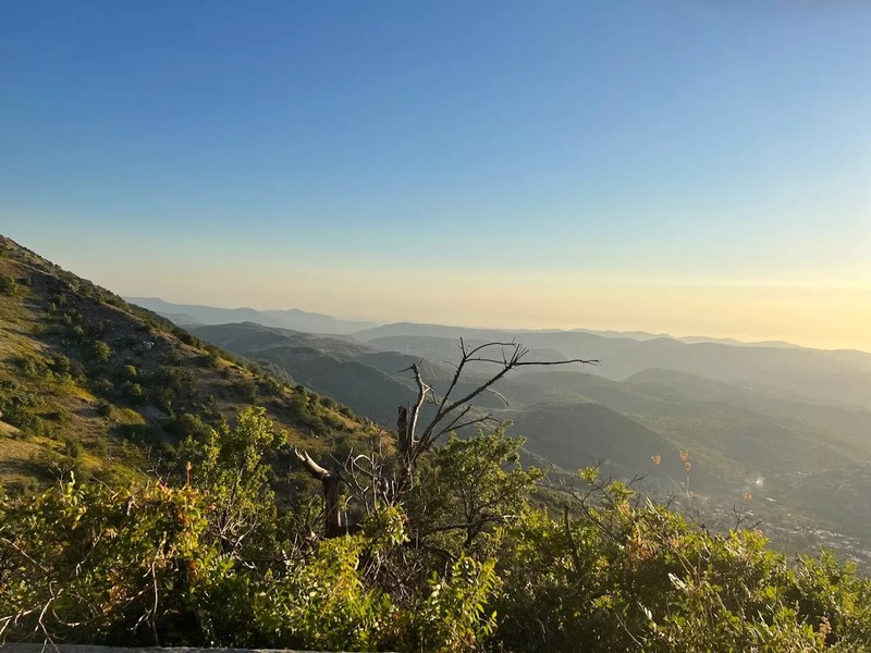 Cover Picture 2 Of Shouf Biosphere Reserve 