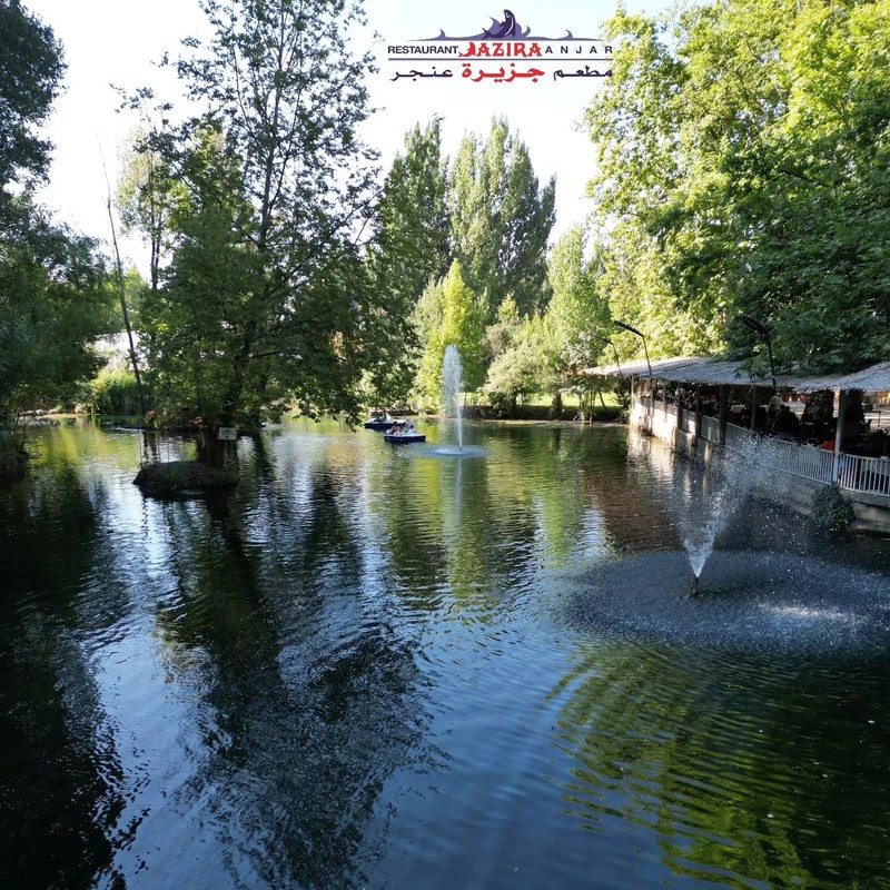 Cover Picture 1 Of Jazira Anjar