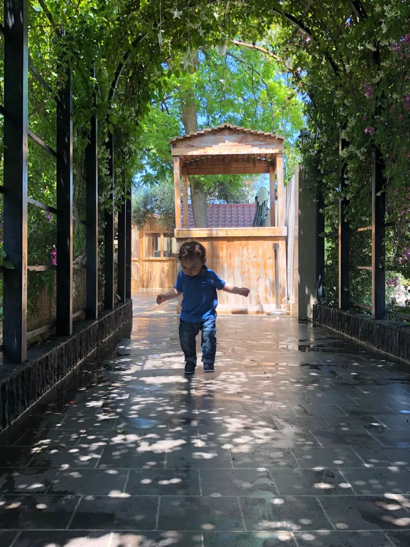 Cover Picture 2 Of Zain Farm