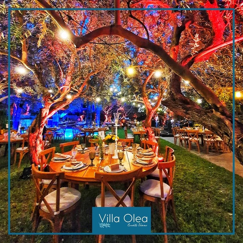 Cover Picture 1 Of Villa Olea