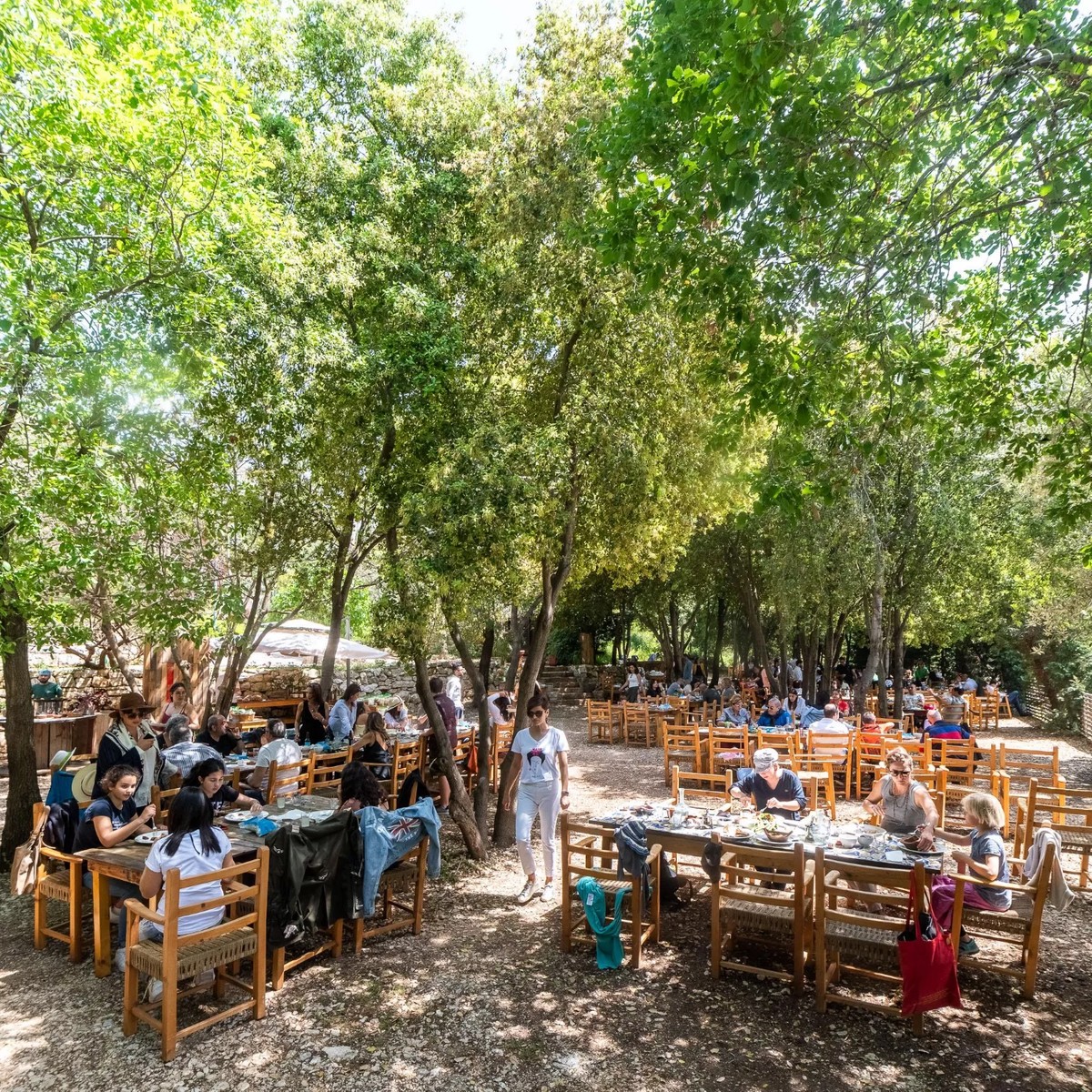Biomass Restaurant Restaurant