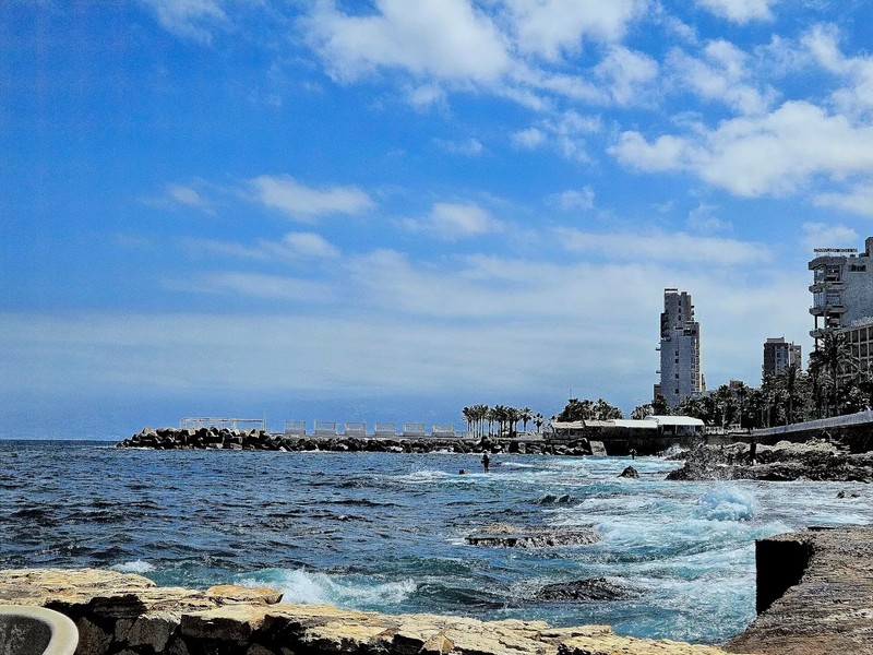 Cover Picture 1 Of Manara Palace cafe