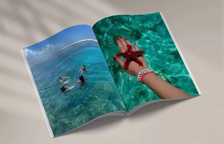 Cover Picture 1 Of The Gift