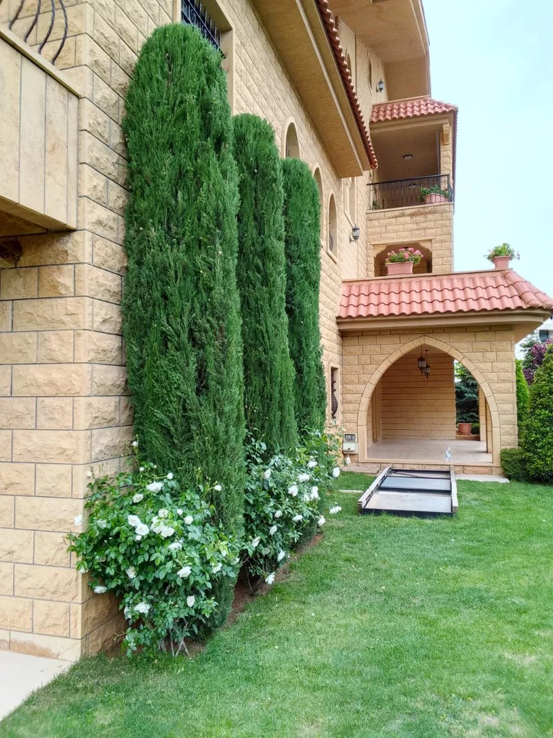 Cover Picture 1 Of Moussa for gardening