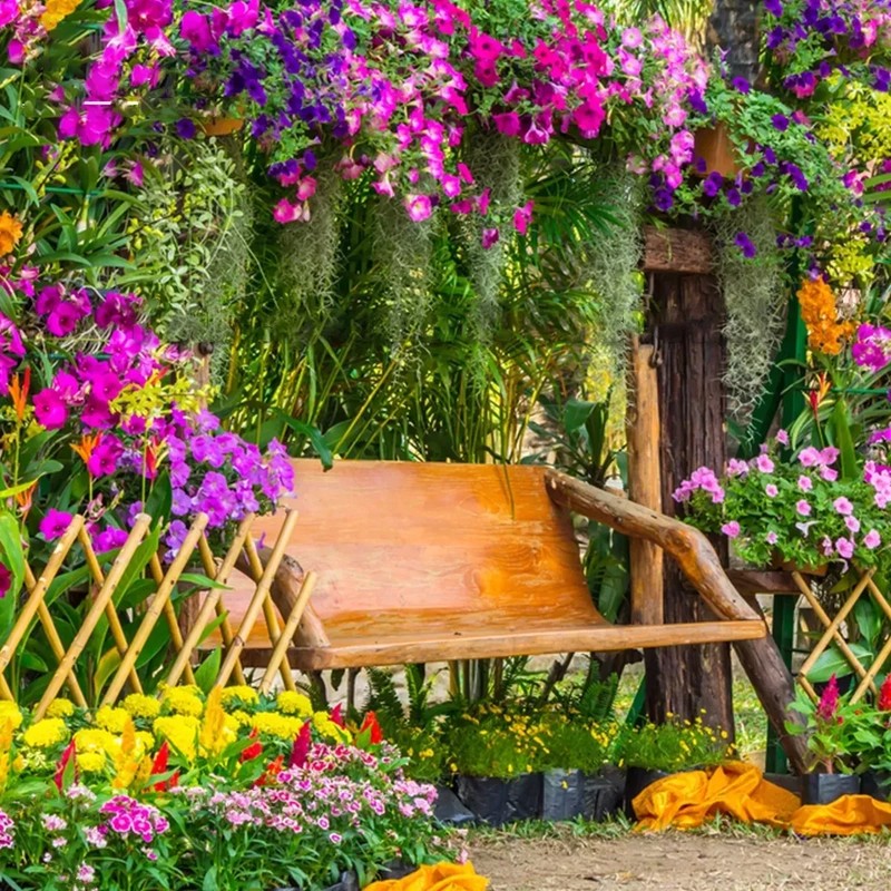 Cover Picture 1 Of S.O.S. Plantes