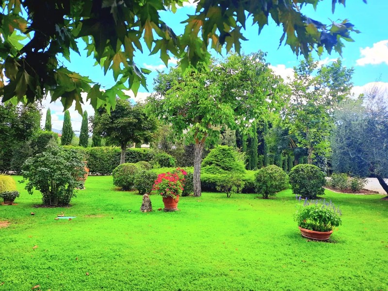 Cover Picture 3 Of S.O.S. Plantes