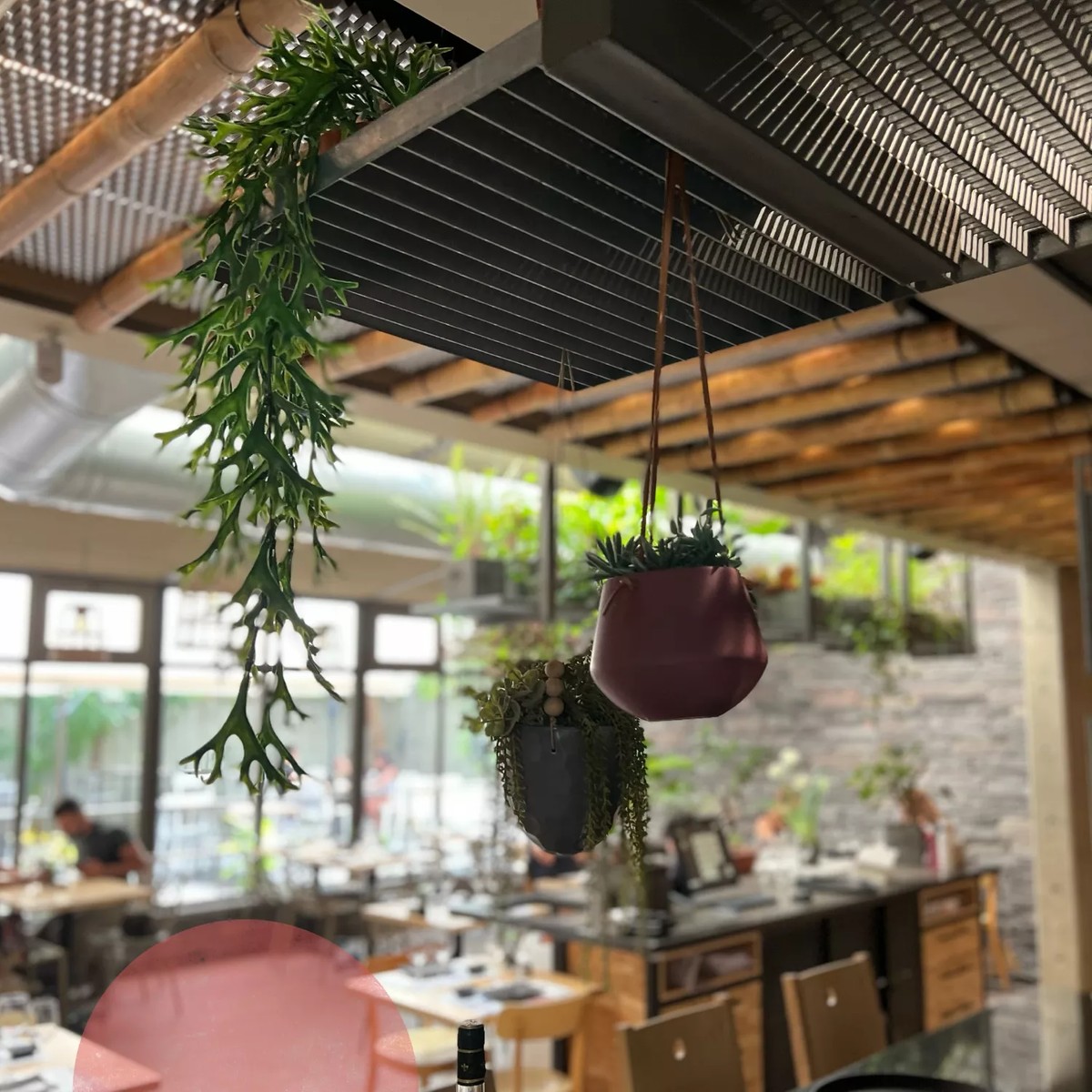 Tsunami Restaurant