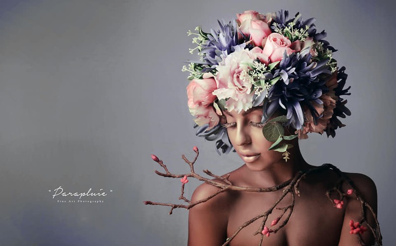 Cover Picture 2 Of Parapluie Studio