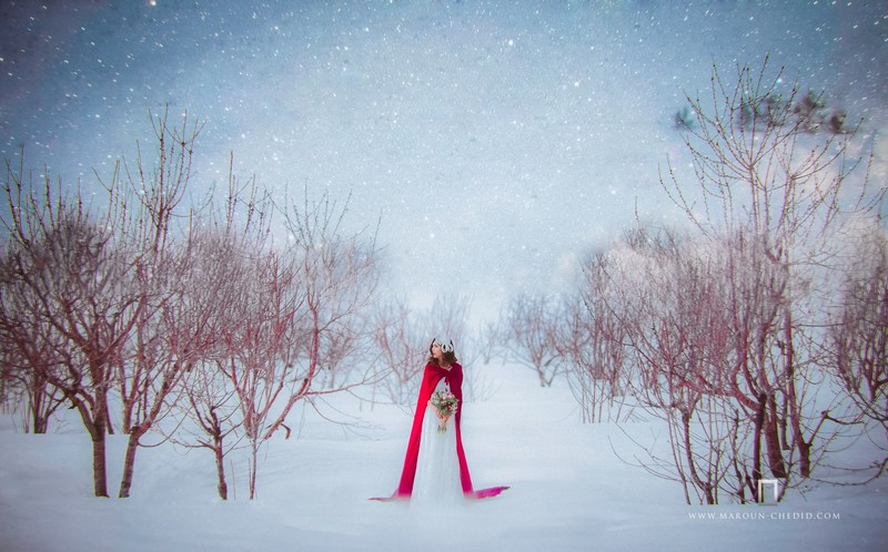 Cover Picture 2 Of Maroun Chedid Photography
