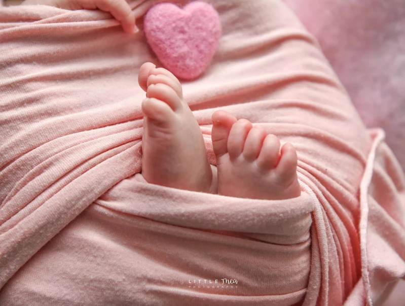 Cover Picture 1 Of Little Thea Photography