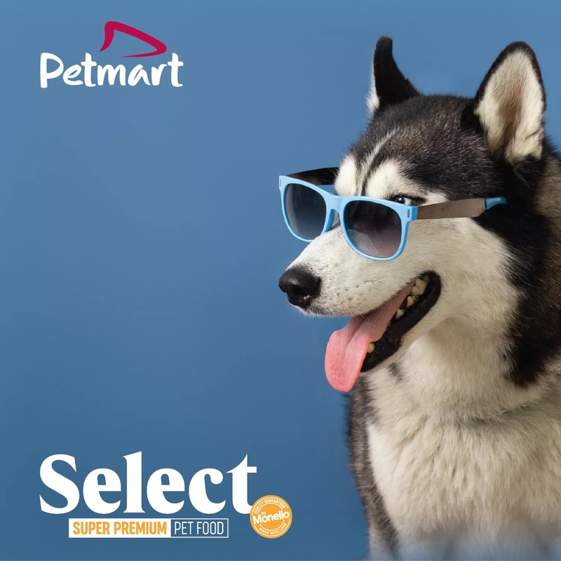 Cover Picture 1 Of Pet Mart