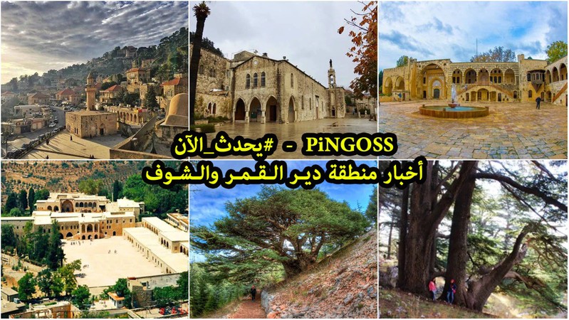 Cover Picture 1 Of PINGOSS News