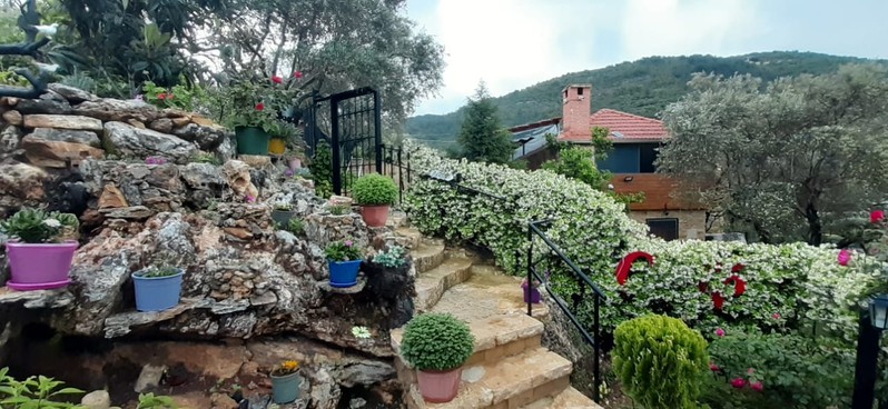 Cover Picture 3 Of O Nature