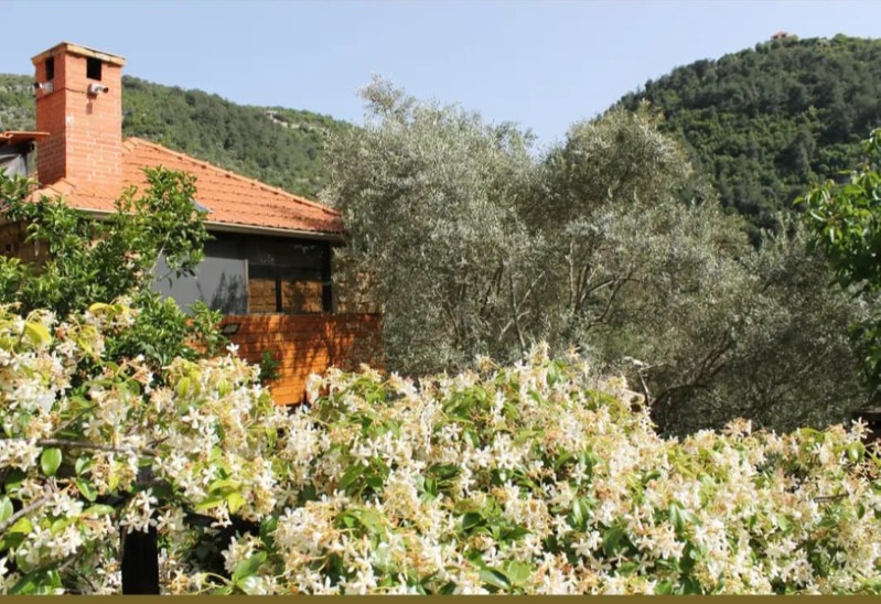 Cover Picture 2 Of O Nature