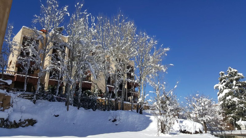 Cover Picture 1 Of Faraya Village Club