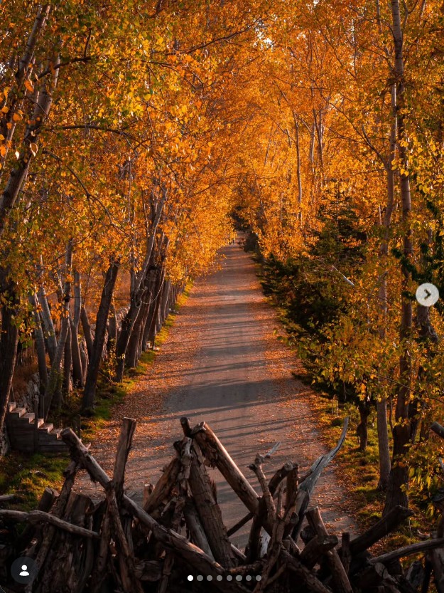 Cover Picture 2 Of Laklouk Village Vacances
