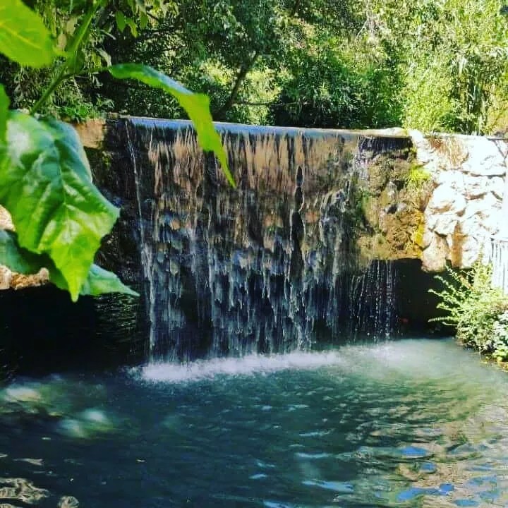 Cover Picture 2 Of Al Midyaf restaurant