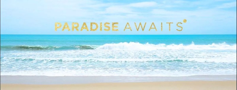 Cover Picture 1 Of CABO Beach Resort