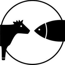 Profile Picture Of Meat the Fish 