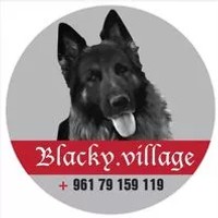 Profile Picture Of Blacky village