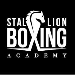 Profile Picture Of Stallion Boxing Academy