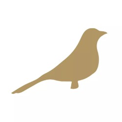 Profile Picture Of Orient 499