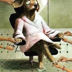 Profile Picture Of Paw Spa