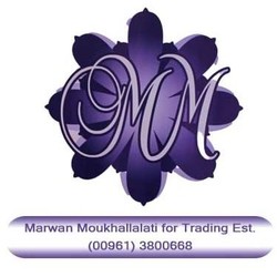 Profile Picture Of Marwan Moukhallalati