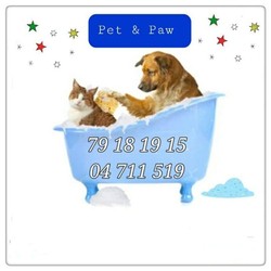 Profile Picture Of Pet & Paw