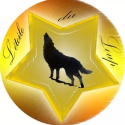 Profile Picture Of L'Etoile du Loup