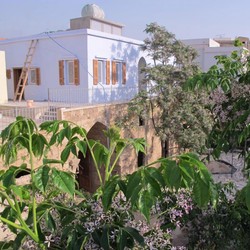 Profile Picture Of Villa Paradiso